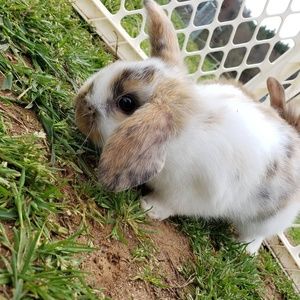 Meet your Posher, Jaylyn